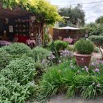 10-have2-IMG_20210903_104458.jpg thumbnail